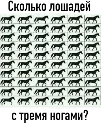 Сколько лошадей стремя ногами?